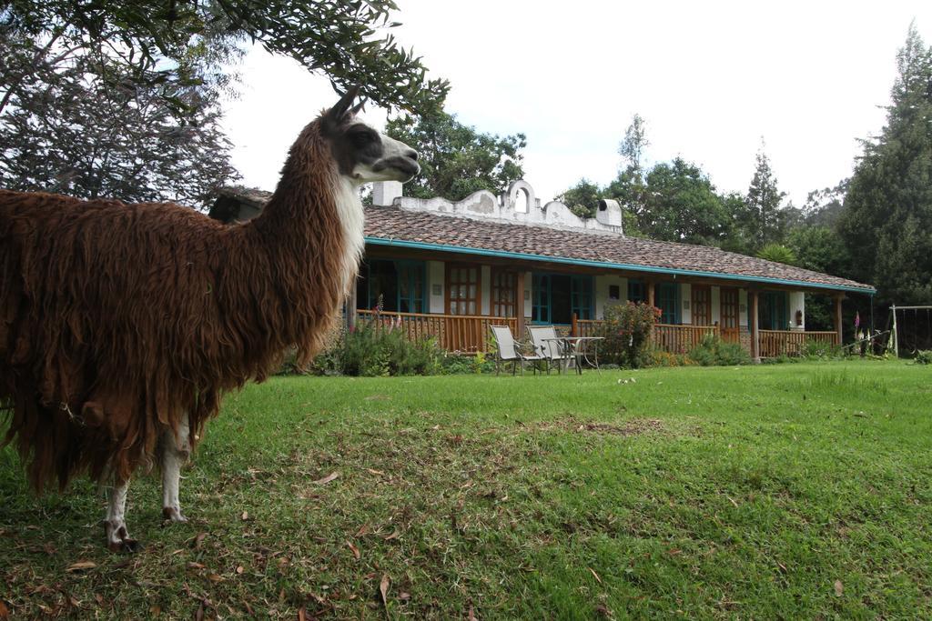 Las Palmeras Inn Otavalo Exterior foto