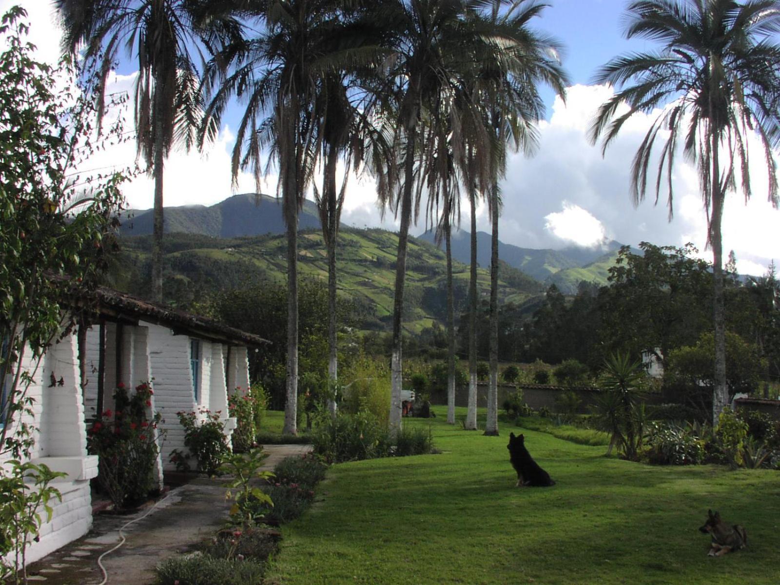 Las Palmeras Inn Otavalo Exterior foto